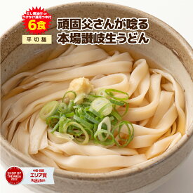 【期間限定1,000円さらにポイント20倍】送料無料 本場生讃岐うどん 専用醤油付セットorつけかけ兼用つゆ付セット 【平切り麺】 6人前 (300g×2袋) 送料無料 生うどん しょうゆうどん 鎌田醤油 麺 讃岐 うどん 香川県 生麺 めんつゆ ポイント利用 ポイント消化 送料無