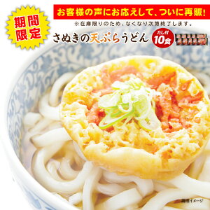 【期間限定】天ぷら一丁10食 天ぷらうどん 讃岐うどん 送料無料 (北海道・沖縄・離島+1500円) ご当地セット 産直 福袋 ポイント利用 食品 グルメ 食べ物 敬老の日 プレゼント お中元 御中