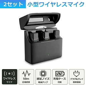 ���C�����X�}�C�N �s���}�C�N 2�Z�b�g �[�d�P�[�X ���׃��A�}�C�N type-c lightning 3.5mm �����}�C�N ���C�u�z�M ����z�M�C���^�r���[ ��c youtuber tiktok �^���m�C�Y�L�����Z�����O ��x�� ����