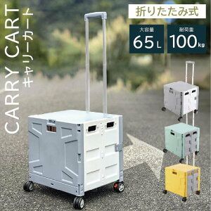 アウトドア用品 キャリーワゴン 100kg」の人気商品一覧・価格比較 