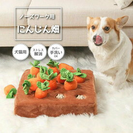 ノーズワーク にんじん 人参 ペット おもちゃ にんじん畑 犬 ノーズワーク 犬 おもちゃ 知育玩具 ペット プレゼント 犬用品 犬用おもちゃ ペット 用品 マット ペット プレゼント 噛むおもちゃ ストレス解消 ペット 遊び 人参 猫