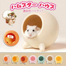 10%OFF ハムスターハウス 涼感ハウス おへや 寝床 日陰 ハムスター用 夏対策 ひんやり 暑さ対策 砂浴び 隠れ家 玄関 鍵置き アニマル インテ