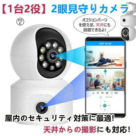 見守りカメラ 小型 防犯カメラ 家庭用 400万画素 iphone対応 赤外線暗視 監視カメラ 自動追尾 室内/屋外対応 ベビーモニター 動体検知 高齢者見守り スマホ通知双方向会話 24時間録画 Alexa対応 クラウド 防水/小型/人気/家庭用/赤ちゃん/子供/高齢者/犬/猫 屋内Wi-Fiカメラ