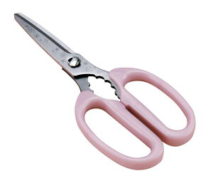 L KAI Lb`͂ sN 16×s7×1cm ֑Z { H@Ή 387810