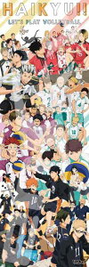 �G���X�J�C(ENSKY) �n�C�L���[ HAIKYU CHRONICLES 34×102cm �W�O�\�[�p�Y�� 950�s�[�X JIGSAW PUZZLE 950-48 6�ˈȏ�