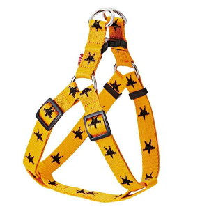 yeBI (Petio) JW X^[n[lX IW ^p S TCY