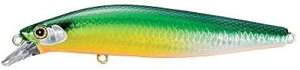 V}m(SHIMANO) V[oXA[ ~m[ GNXZX TCgATV 99SP WFbgu[Xg XM-099P 016 LEGS