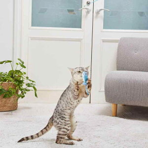 �y�e�B�I (Petio) �L�p�������� ���肮��� de ����炵 �~�j�T��