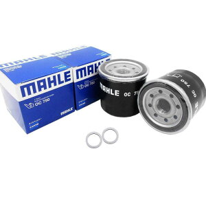 �y�t�B���^�[2���p�b�L��2���Z�b�g�z �X�Y�L ���Y �}�c�_ �O�H �I�C���t�B���^�[ �h�����p�b�L�� �A���~ 20mm×14mm×1.5mm �}�[�� OJ101��PMA1×2 �^�����̓K���m�F�v �����t�B���^�[���[�J�[