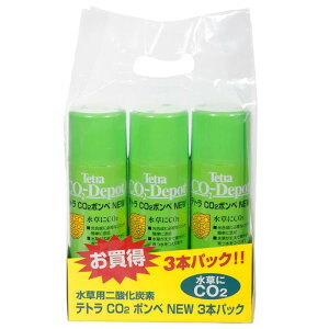 eg (Tetra) CO2{xNEW 3{pbN CO2Lbgp{x i 엿 _Yf 