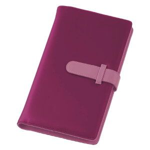 iJoV Digio2 Blu-rayΉ fBAP[X fBXNP[X BD DVD CD 48[ sN