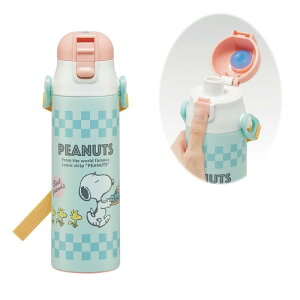 XP[^[(Skater) qp XeX   580ml Xk[s[ 80sJtF qɗDyʃ^Cv ̎q ۗp waterbottle X|[c{g 킢 LbY q ǂ r SDC6N-A