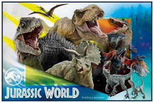 XP[^[ (Skater) qp W[V[g(S) lp 90×60cm WVbN[h WVbN 24 VS1