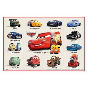 XP[^[(Skater) qp W[V[g  STCY 60×90cm fBYj[ J[Y 25 j̎q VS1