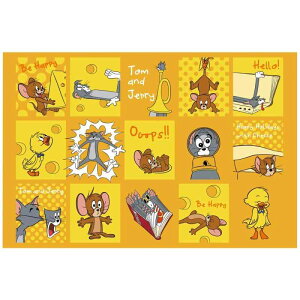 XP[^[(Skater) qp W[ V[g lp STCY  60×90cm gWF[ nbs[ VS1-A