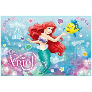 XP[^[(Skater) qp W[V[g  STCY 60×90cmTCY fBYj[ AG 24 VS1-A