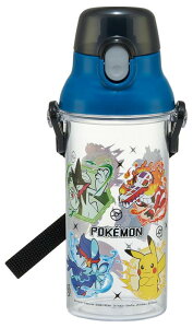 XP[^[(Skater) qp NA  480ml vX`bN NA{g qp { |P 25 j̎q PSB5TR69636