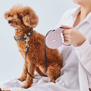 yeBI (Petio) pLk[h [[hAIRpXe sNx[W