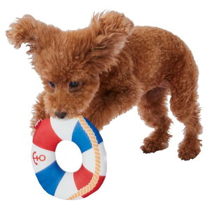 yeBI (Petio) p ЂʂHNZ 