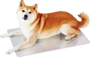 yeBI (Petio) Lp}bg N[A~V[gHNZ 2L