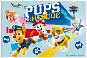 XP[^[ (skater) W[V[g STCY 60×90cm pEEpg[ 23 VS1-A