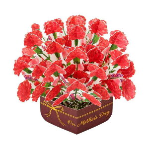 �T�����I(SANRIO) �O���|�e�B���O�J�|�h ���b�Z�[�W�J�[�h ��̓� ���� ���A���J�[�l�[�V���� JMD 9-5 613924