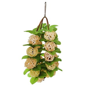 ledmomo CR  ݂̒肨  I` ݉^Cv ̗Vя {[ XgX ZLZCCR  ރI` ObY o[hgC