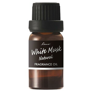 J[Cg(CARMATE) ԗp F tOXfBt[U[ p tOXIC zCgXNN. L10051