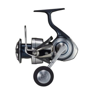 _C(DAIWA) XsjO[ Ze[g SW 5000-XH