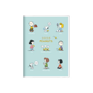 TX^[ Xk[s[ 2025N 蒠  A6 ~gO[ S2958317