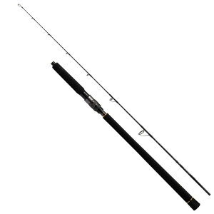 _C(DAIWA) OUTRAGE(AEgCW) BR J60S-4