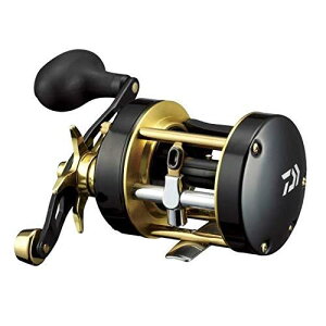 _C(DAIWA) 17 V[z[N 300