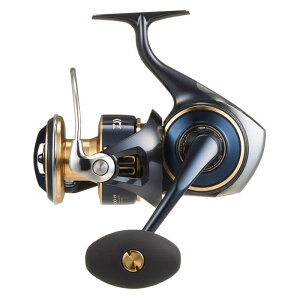 _C(DAIWA) SWXsjO[ 25SALTIGA(\eBK) 10000-H