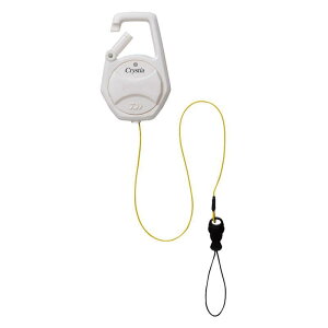 _C(DAIWA) NXeBAJTM K胍[v zCg