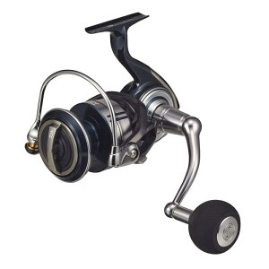 _C(DAIWA) 21 Ze[gSW 10000-P
