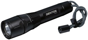 GENTOS(WFgX) d LEDCg [d(p[dr/P4dr)  1200[ GV[Y GF-116RG nfBCg tbVCg
