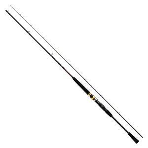 _C(DAIWA) D V[tbNX64 30-270EN ubN
