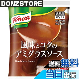 【送料無料】クノール 風味とコクのデミグラスソース 業務用 500g袋 ビーフシチュー 洋風だし