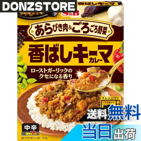【送料無料】エスビー食品 あらごろ香ばしキーマカレー 150g x6個