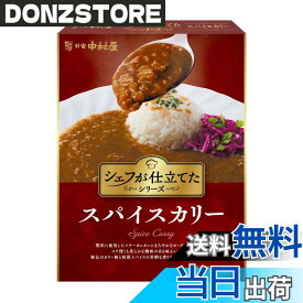 【送料無料】中村屋 シェフが仕立てたスパイスカリー 160g x5個