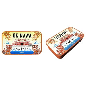 �y���������z����~���g�� �񗢏� 16gx2