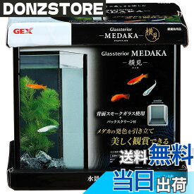 【送料無料】ジェックス グラステリア メダカ 横見 M サイズ