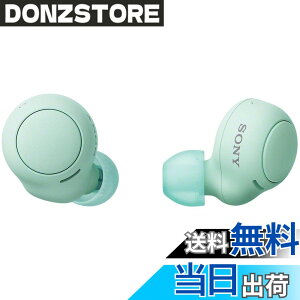 �y���������z�\�j�[(SONY) ���S���C�����X�C���z�� WF-C500 : /�y�ʏ��^5.4g/�����x�ʘb�i��/�ȒP�y�A�����O/IPX4�h�H���\/�A�C�X�O���[�� WF-C500 GZ