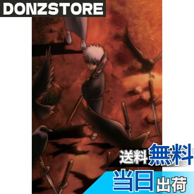 【送料無料】銀魂 シーズン其ノ四 8 [DVD]