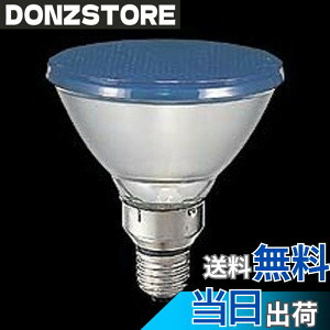 �y���������z�y���Łz �J���[�r�[�������v(��)100W�` E26���� �U���` BRF110V80WY