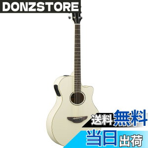 �y���������z���}�n YAMAHA �G���A�R�M�^�[ APX600 VW