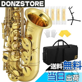 【送料無料】Eastar アルトサックス E Saxophone ゴールドラッカー サクソフォン ケース付き お手入れセット クリスマス(演奏用) AS-3