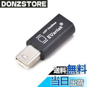 �y���������zEVanlak Mini DisplayPort �w�b�h���X�S�[�X�g�f�B�X�v���C�G�~�����[�^�[ PC 4K DP �_�~�[�v���O�p (�w�b�h���X1080-3840x2160@17hz�Ή�)