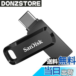 �y���������zSandisk SDDDC3-256G-G46 USB Memory 256GB