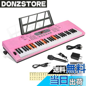 �y���������zHricane �L�[�{�[�h �s�A�m �d�q�s�A�m 61���� 200��މ��F 200��ރ��Y�� 60�ȃf���� LCD�f�B�X�v���C���� ���錮�� �y�� ���{��p�l�� �w�b�h�t�H���Ή� �q�� ���S�� ���K�p USB�P�[